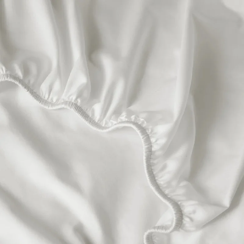 King - Size Sheet Sets with a Decorative Pillow SetEucalyptus Silk Fitted Sheet