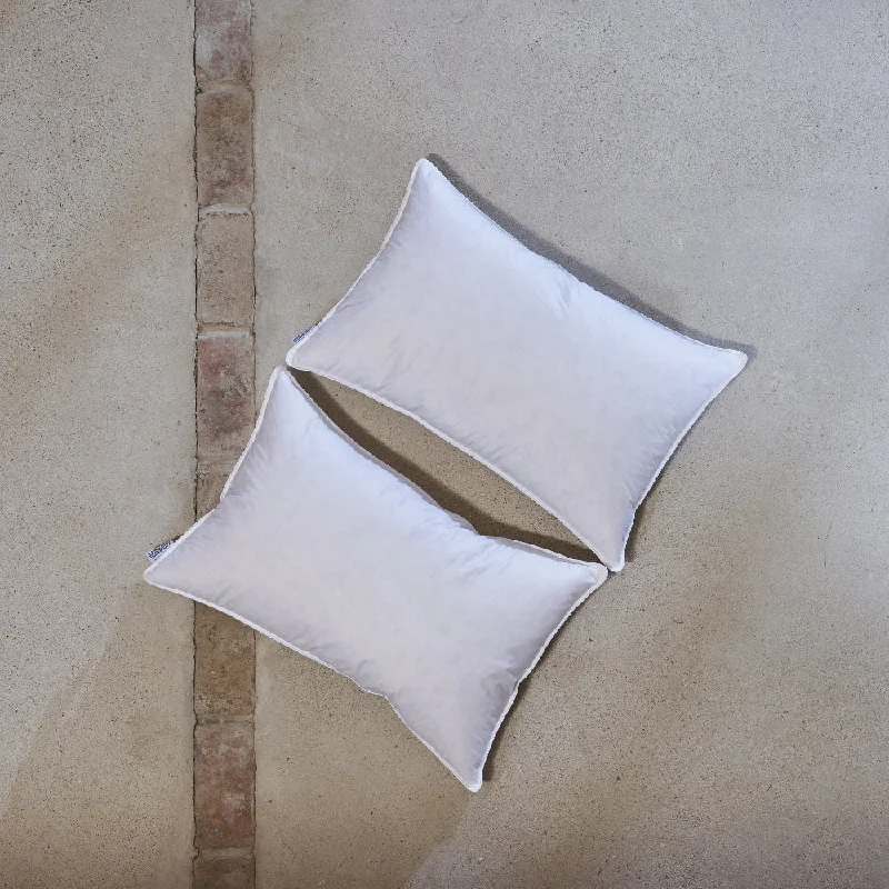 Flat Sheets with a High - Quality Finish for a Luxurious LookHungarian Goose Feather & Down Pillows Flat Sheets with a High - Quality Finish for a Luxurious LookHungarian Goose Feather & Down Pillows