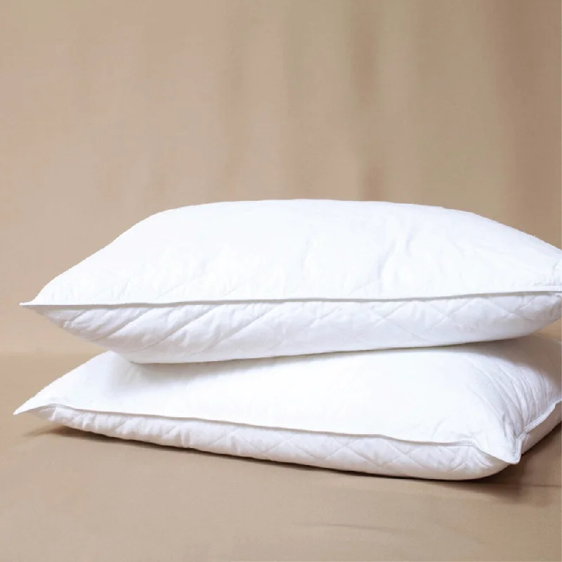 Down Alternative Pillows for Ethical ChoicesDreamy Nights Down Alternative Pillows (Set of 2) Down Alternative Pillows for Ethical ChoicesDreamy Nights Down Alternative Pillows (Set of 2)