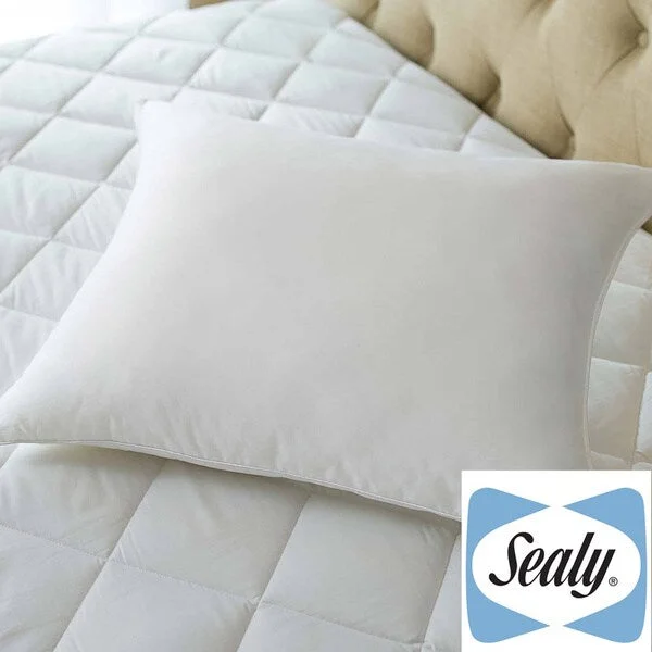 Back Support Pillows for Office ChairsSealy Posturepedic Posture Fit Stomach Sleeper Pillow - White Back Support Pillows for Office ChairsSealy Posturepedic Posture Fit Stomach Sleeper Pillow - White