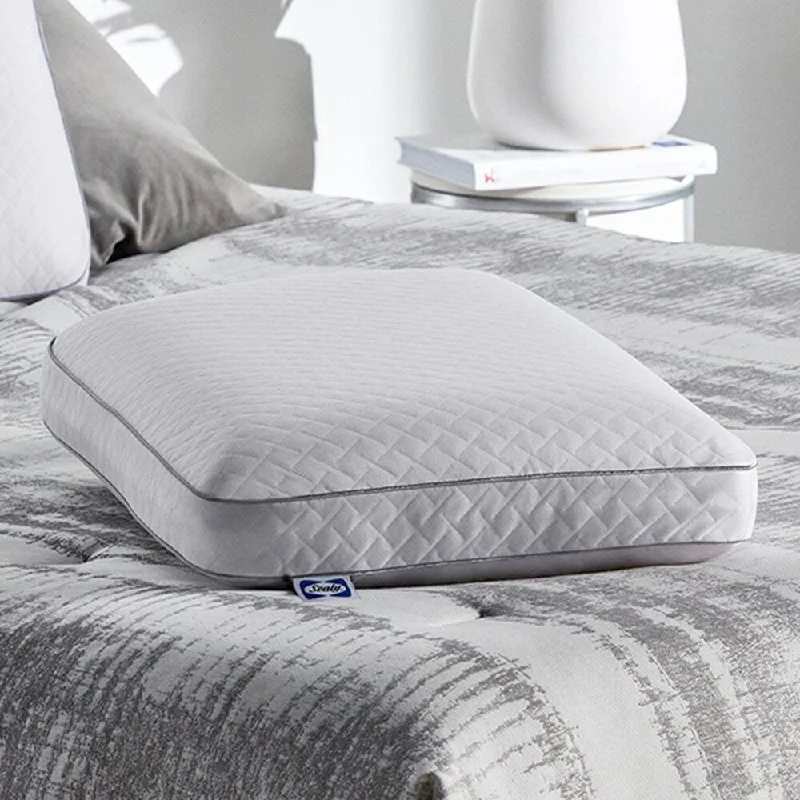 Velvet Pillows for a Touch of EleganceSealy Essentials Classic Memory Foam Pillow