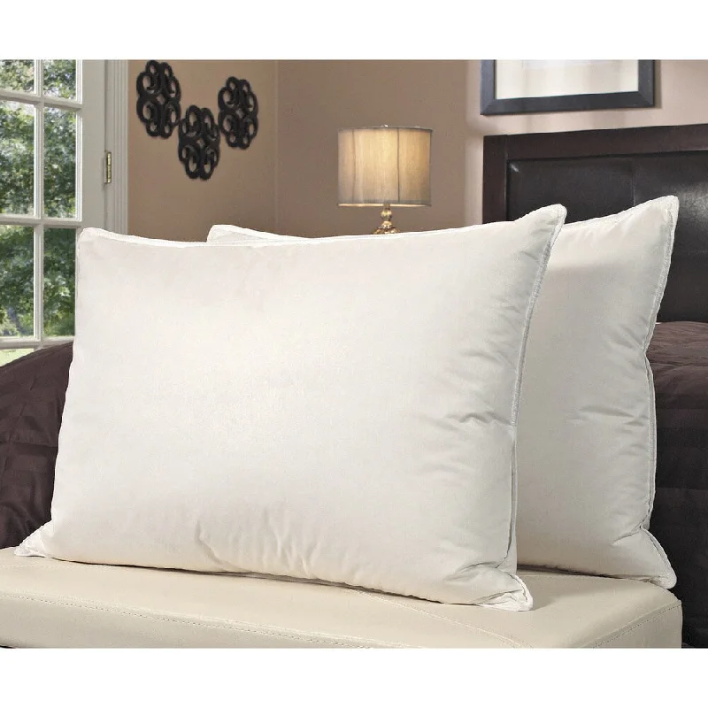 Down Alternative Pillows for Ethical ChoicesEuropean Legacy Moisture Wicking Down Alternative Pillows (Set of 2) Down Alternative Pillows for Ethical ChoicesEuropean Legacy Moisture Wicking Down Alternative Pillows (Set of 2)