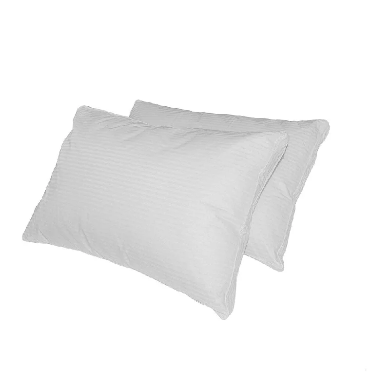 Silk Pillows for Smooth Skin and HairLuxlen Grand 500 Thread Count White Down Pillow (Set of 2) Silk Pillows for Smooth Skin and HairLuxlen Grand 500 Thread Count White Down Pillow (Set of 2)