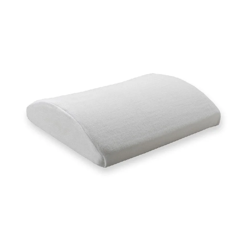 Velvet Pillows for a Touch of EleganceBeautyrest Lumbar Memory Foam Pillow with Removable Cover Velvet Pillows for a Touch of EleganceBeautyrest Lumbar Memory Foam Pillow with Removable Cover