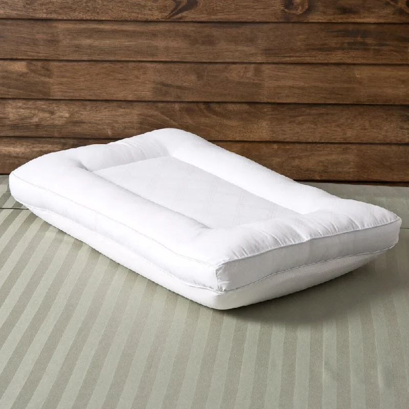 Feather Pillows for a Luxurious SleepComfort Memories 2-in-1 Reversible Memory Foam and Fiber Pillow Feather Pillows for a Luxurious SleepComfort Memories 2-in-1 Reversible Memory Foam and Fiber Pillow