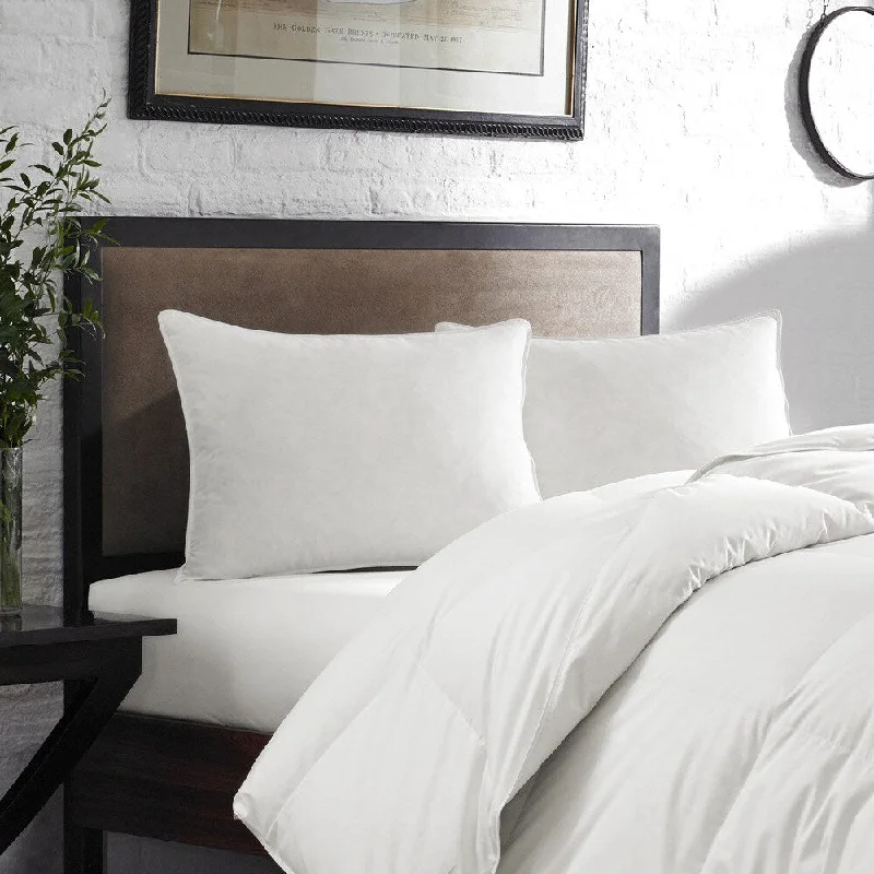 Memory Foam Pillows for Neck SupportEddie Bauer Standard-size Goose Feather Pillow