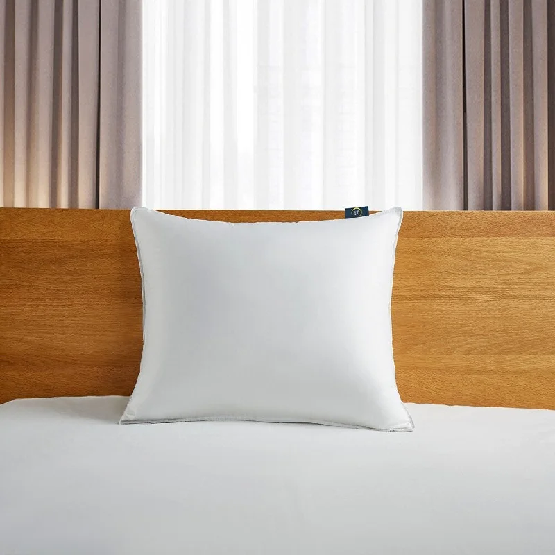 Decorative Pillows for Living Room MakeoverSerta 300 Thread Count White Down Fiber Pillow Decorative Pillows for Living Room MakeoverSerta 300 Thread Count White Down Fiber Pillow