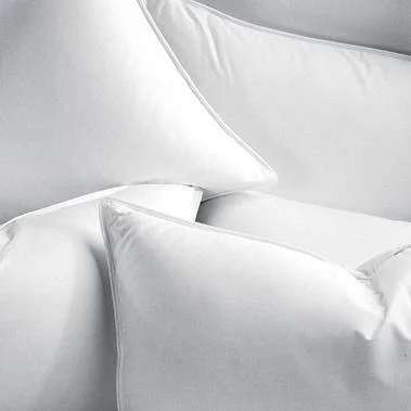 Bamboo - fiber - filled comforters with antibacterial and breathable qualitiesGoose Down Pillow Inserts by Legacy Home Bamboo - fiber - filled comforters with antibacterial and breathable qualitiesGoose Down Pillow Inserts by Legacy Home
