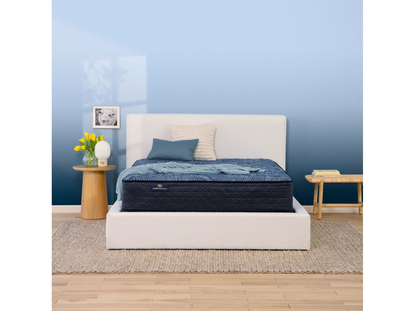 Queen - size mattresses for couples and standard bedroomsSerta Perfect Sleeper Cobalt Calm Extra Firm Twin Mattress Queen - size mattresses for couples and standard bedroomsSerta Perfect Sleeper Cobalt Calm Extra Firm Twin Mattress