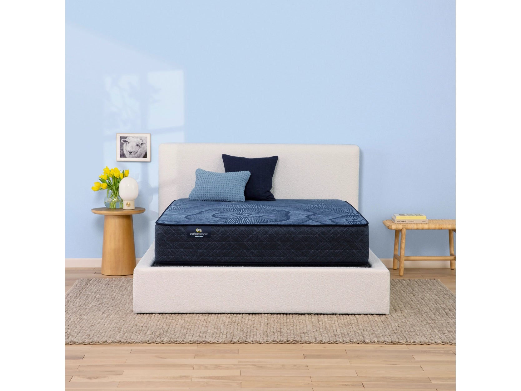 Polyester - foam mattresses for budget - friendly optionsSerta Perfect Sleeper Doraville Nights Hybrid Medium Twin XL Mattress Polyester - foam mattresses for budget - friendly optionsSerta Perfect Sleeper Doraville Nights Hybrid Medium Twin XL Mattress